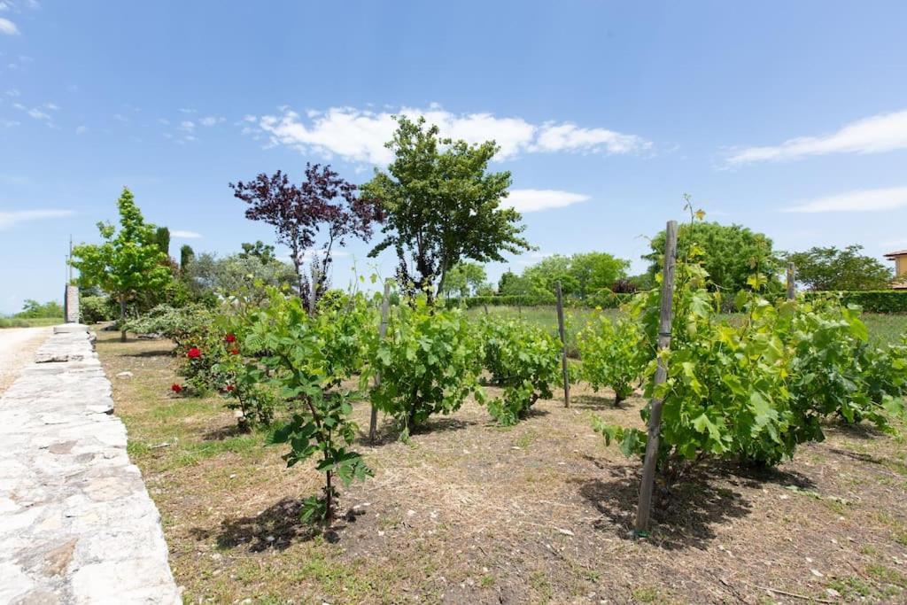 Villa Ruffo Campobasso Eksteriør bilde